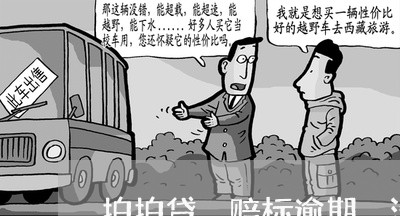 拍拍贷 赔标逾期 没有赔 拍拍贷 赔标逾期 没有赔